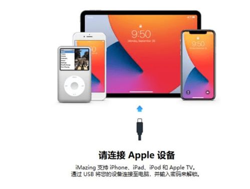 Imazing2024免費版 高效的計算機數(shù)據(jù)遷移與管理工具